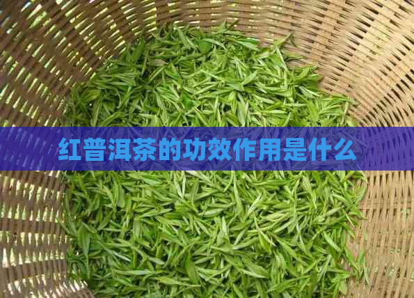 红普洱茶的功效作用是什么