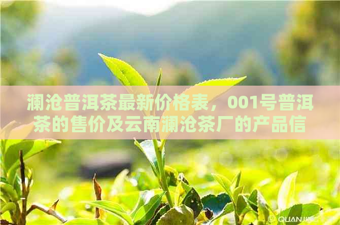 澜沧普洱茶最新价格表，001号普洱茶的售价及云南澜沧茶厂的产品信息