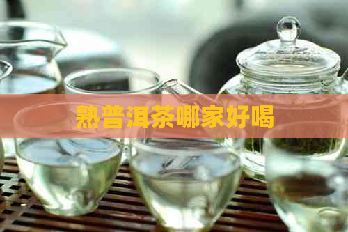 熟普洱茶哪家好喝