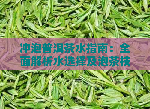 冲泡普洱茶水指南：全面解析水选择及泡茶技巧