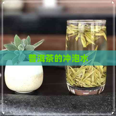 普洱茶的冲泡水