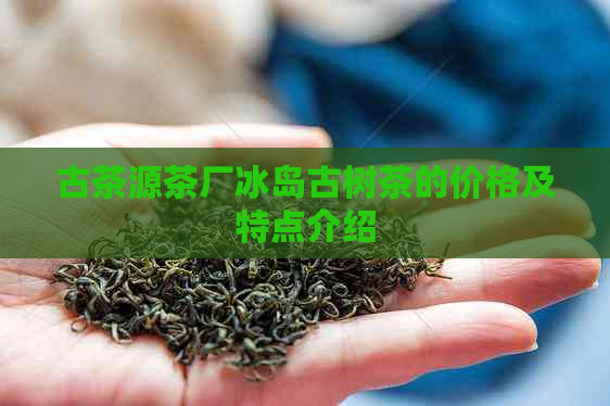 古茶源茶厂冰岛古树茶的价格及特点介绍