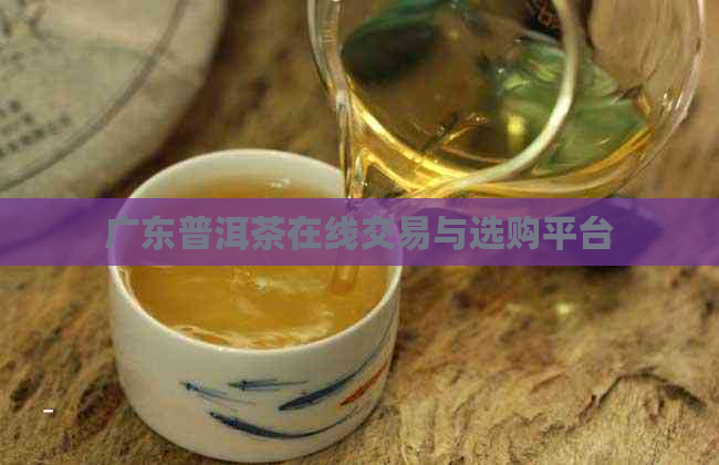 广东普洱茶在线交易与选购平台