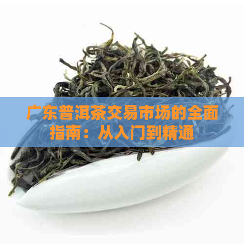 广东普洱茶交易市场的全面指南：从入门到精通