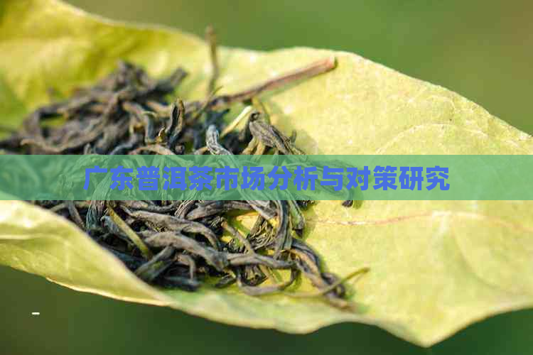 广东普洱茶市场分析与对策研究