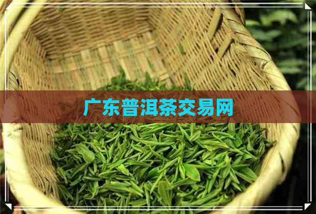 广东普洱茶交易网