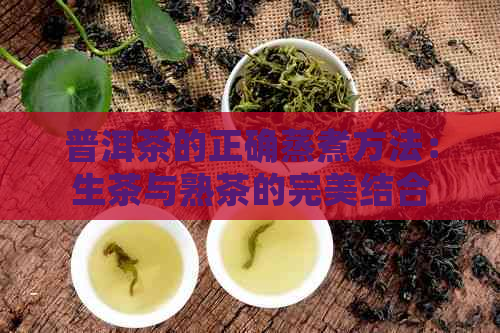 普洱茶的正确蒸煮方法：生茶与熟茶的完美结合