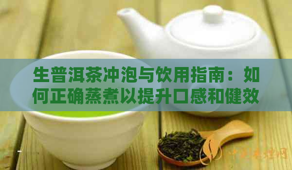 生普洱茶冲泡与饮用指南：如何正确蒸煮以提升口感和健效益