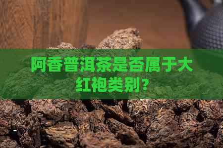 阿香普洱茶是否属于大红袍类别？