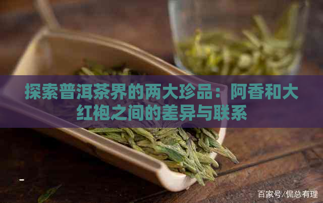 探索普洱茶界的两大珍品：阿香和大红袍之间的差异与联系