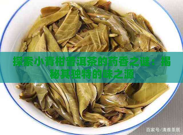 探索小青柑普洱茶的药香之谜：揭秘其独特的味之源