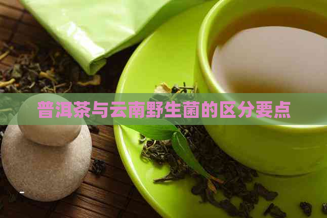 普洱茶与云南野生菌的区分要点