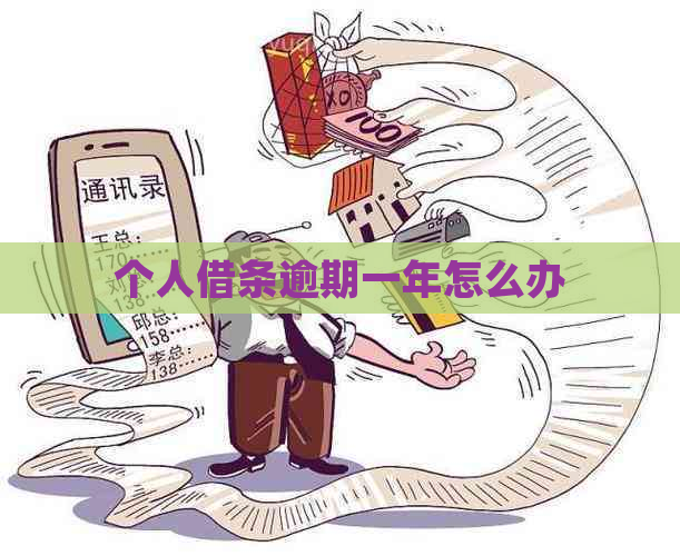 个人借条逾期一年怎么办