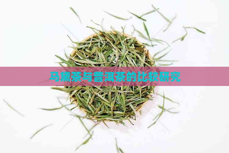 马黛茶与普洱茶的比较研究