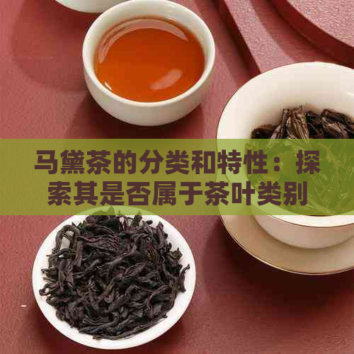 马黛茶的分类和特性：探索其是否属于茶叶类别