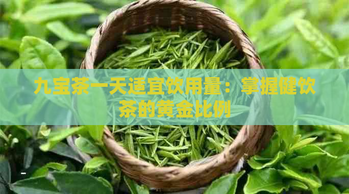 九宝茶一天适宜饮用量：掌握健饮茶的黄金比例