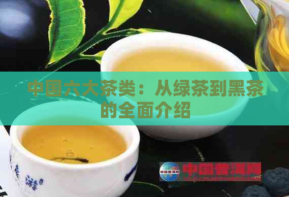 中国六大茶类：从绿茶到黑茶的全面介绍