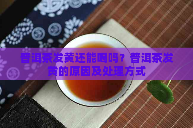 普洱茶发黄还能喝吗？普洱茶发黄的原因及处理方式