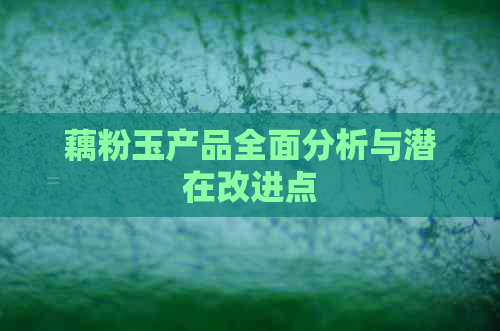 藕粉玉产品全面分析与潜在改进点