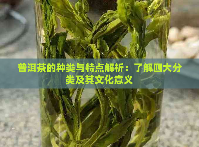 普洱茶的种类与特点解析：了解四大分类及其文化意义