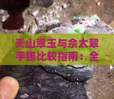 天山翠玉与佘太翠手镯比较指南：全面解析两者的材质、工艺与价值