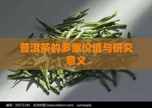 普洱茶的多重价值与研究意义