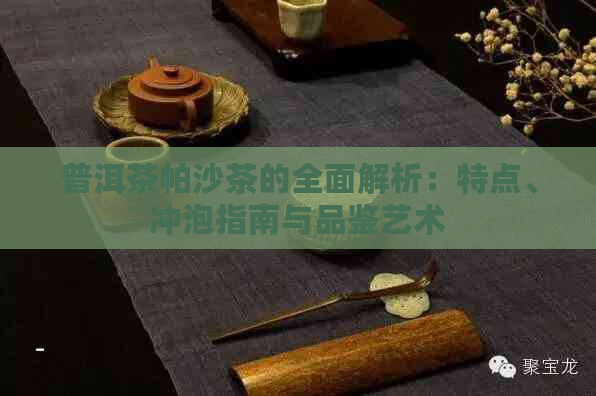 普洱茶帕沙茶的全面解析：特点、冲泡指南与品鉴艺术