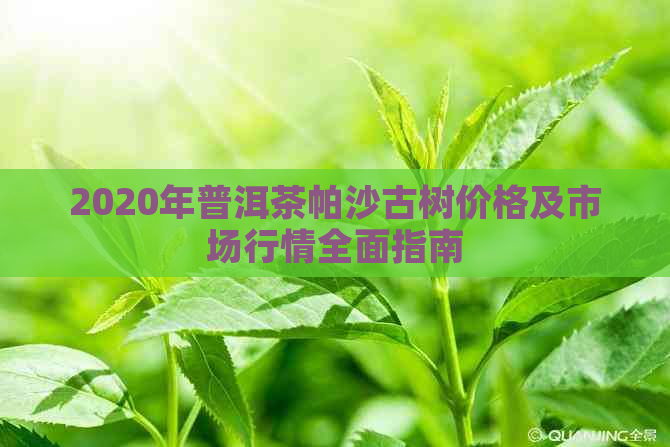 2020年普洱茶帕沙古树价格及市场行情全面指南