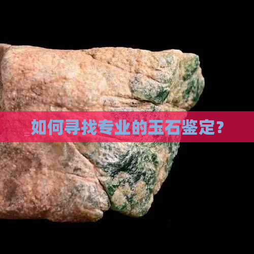 如何寻找专业的玉石鉴定？