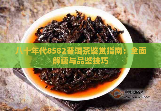 八十年代8582普洱茶鉴赏指南：全面解读与品鉴技巧