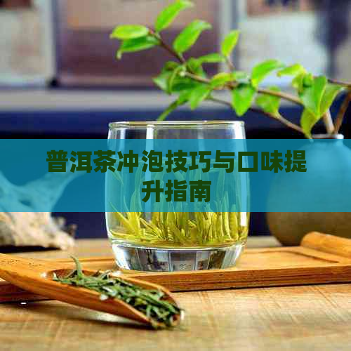 普洱茶冲泡技巧与口味提升指南