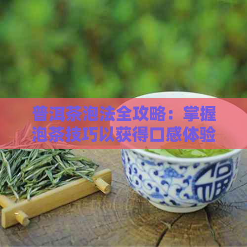 普洱茶泡法全攻略：掌握泡茶技巧以获得口感体验