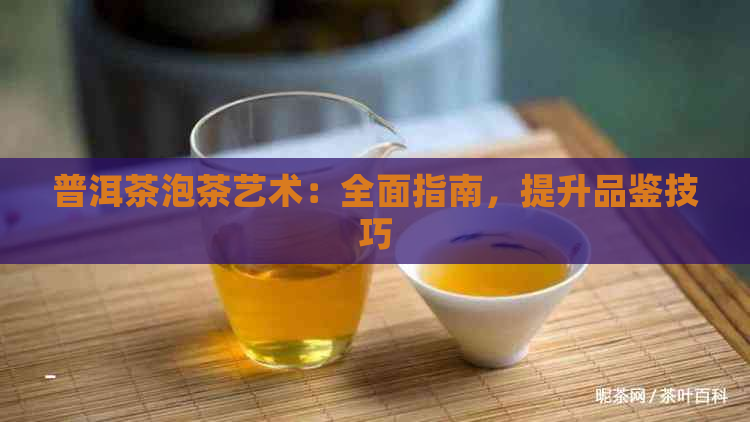 普洱茶泡茶艺术：全面指南，提升品鉴技巧