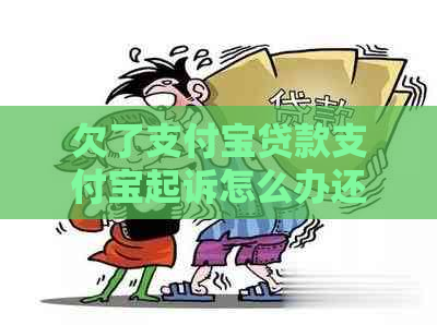 欠了支付宝贷款支付宝起诉怎么办还款攻略