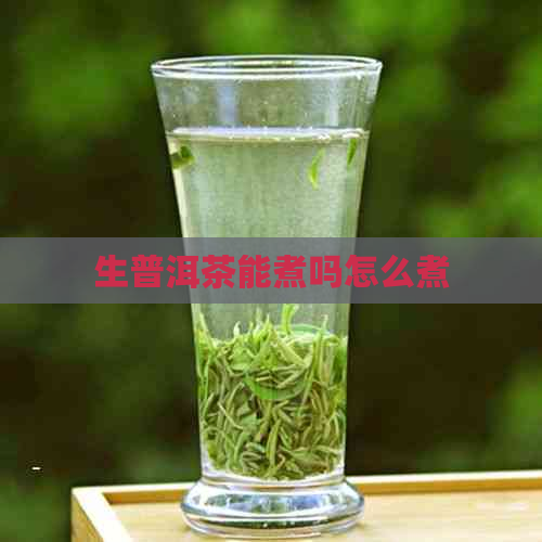 生普洱茶能煮吗怎么煮