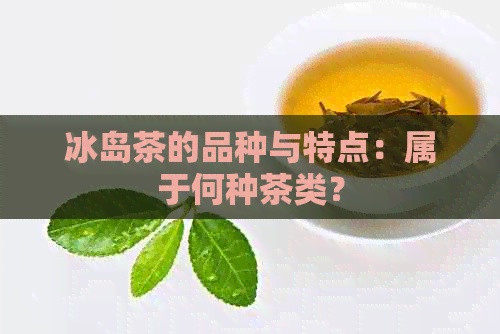 冰岛茶的品种与特点：属于何种茶类？