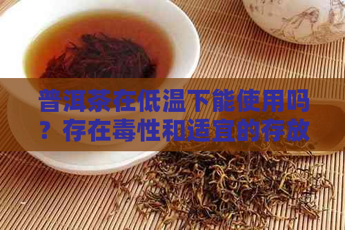 普洱茶在低温下能使用吗？存在性和适宜的存放时间吗？