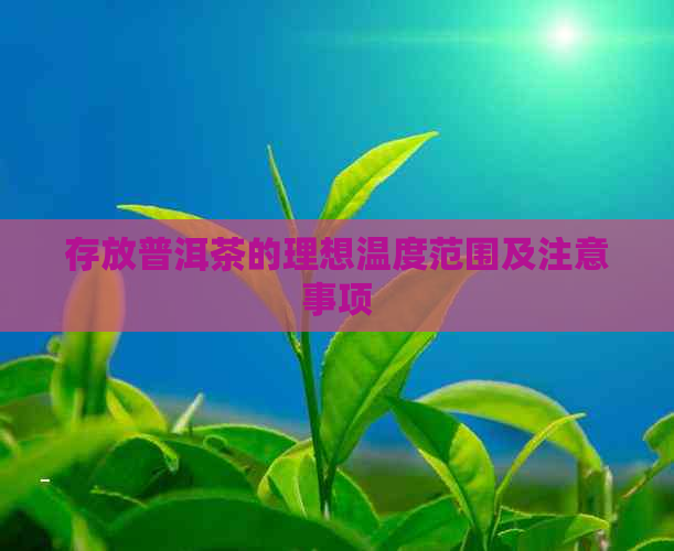 存放普洱茶的理想温度范围及注意事项