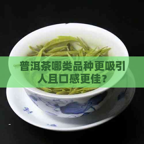 普洱茶哪类品种更吸引人且口感更佳？