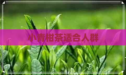 小青柑茶适合人群