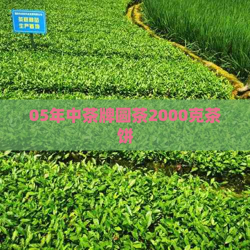 05年中茶牌圆茶2000克茶饼