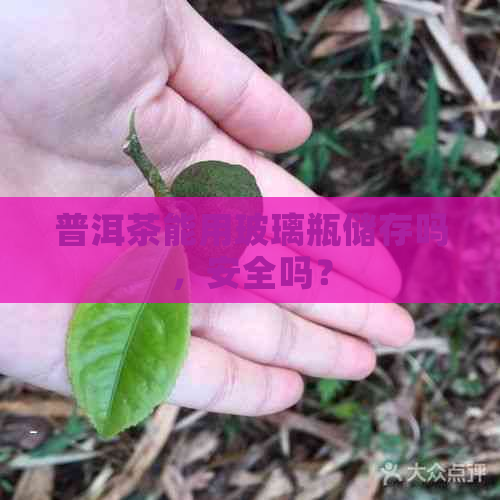 普洱茶能用玻璃瓶储存吗，安全吗？