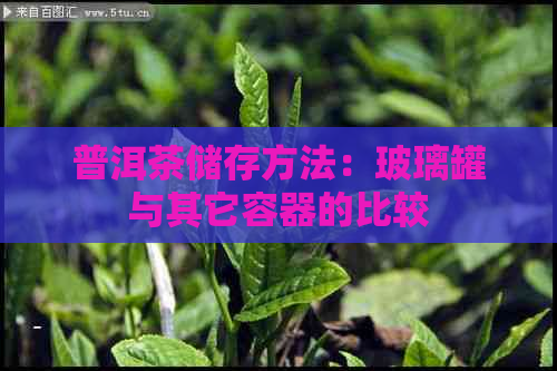 普洱茶储存方法：玻璃罐与其它容器的比较