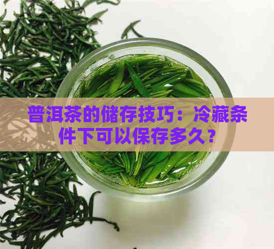 普洱茶的储存技巧：冷藏条件下可以保存多久？