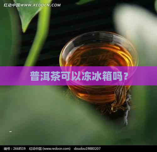 普洱茶可以冻冰箱吗？