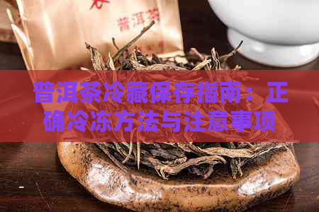 普洱茶冷藏保存指南：正确冷冻方法与注意事项