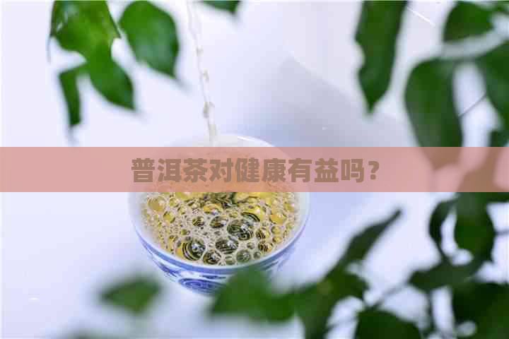 普洱茶对健康有益吗？