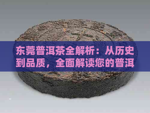 东莞普洱茶全解析：从历史到品质，全面解读您的普洱茶选购指南