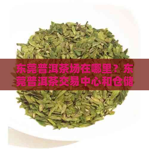 东莞普洱茶场在哪里？东莞普洱茶交易中心和仓储哪个镇有假茶？