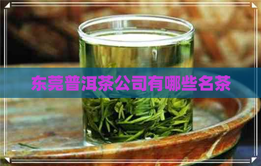 东莞普洱茶公司有哪些名茶